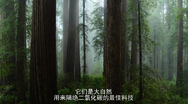 IMG_0898.PNG