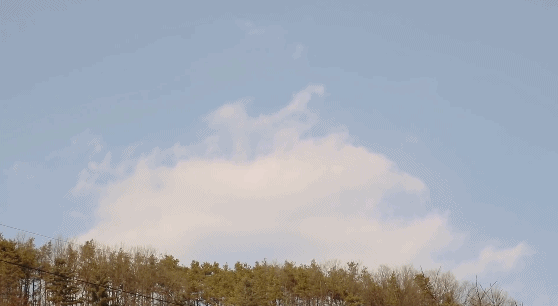 IMG_1734.GIF
