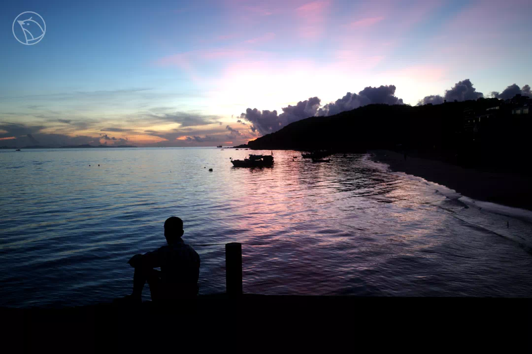 IMG_2455.PNG