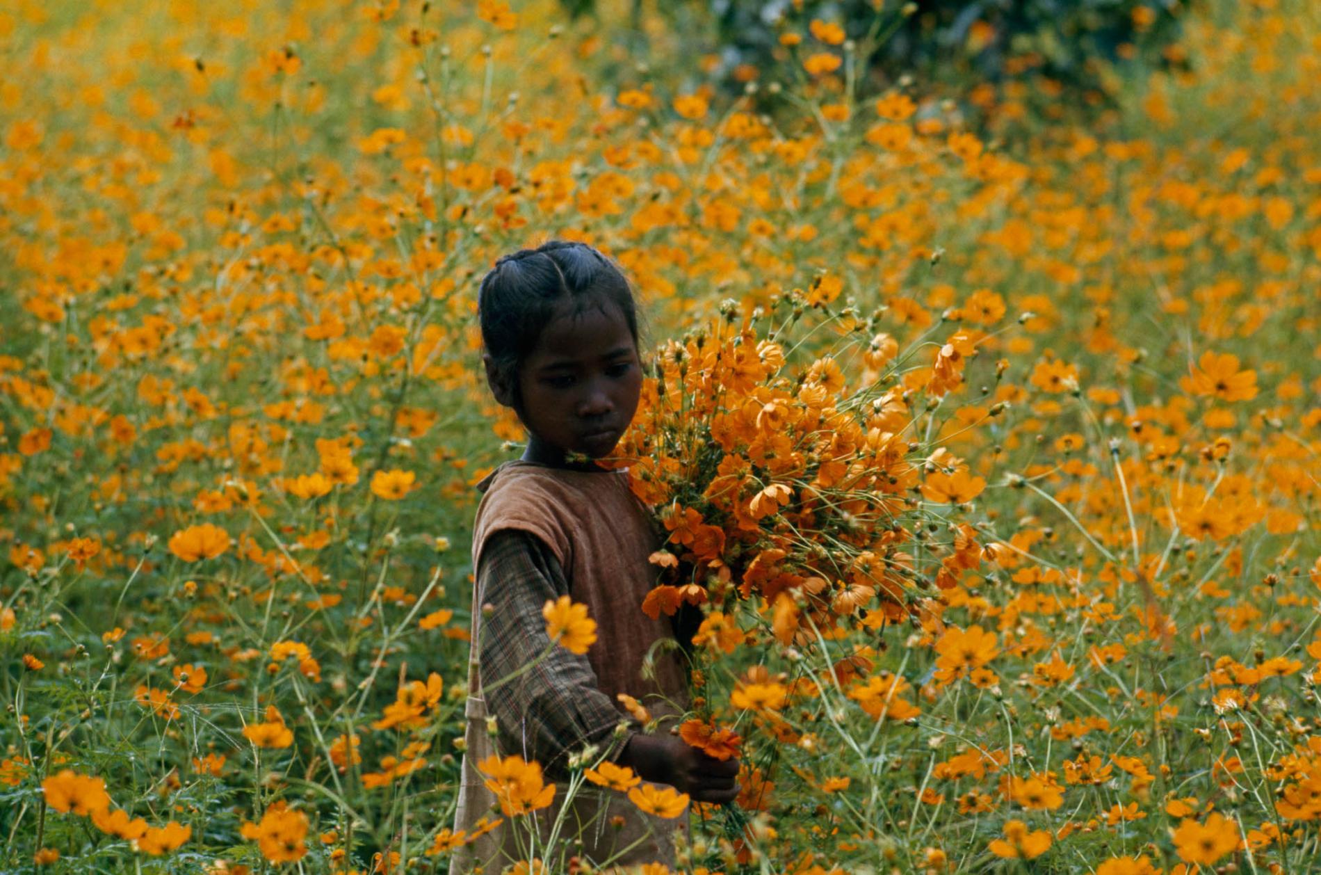 pod-23-11-2020_nationalgeographic_616993.ngsversion.1603298768694.adapt.1900.1.jpg