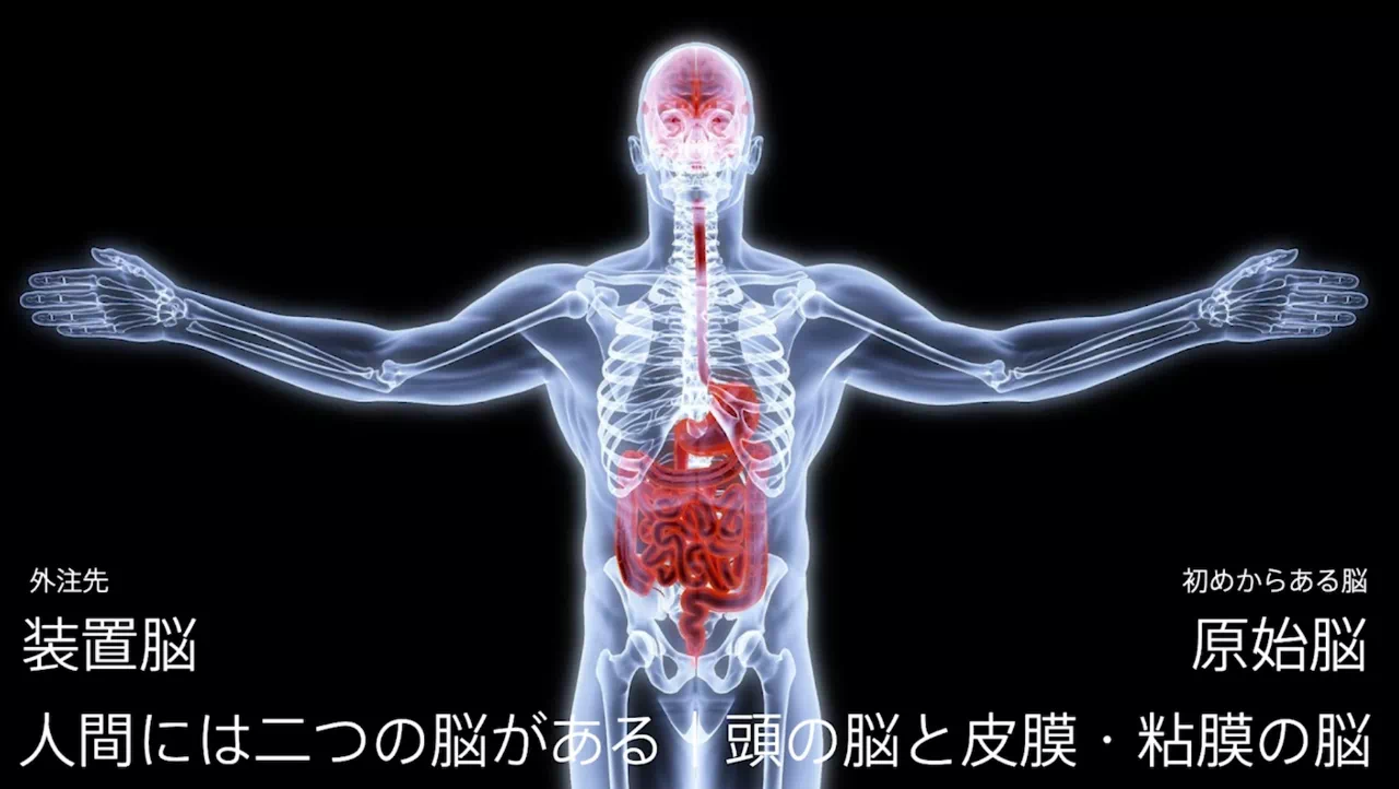 IMG_5454.PNG