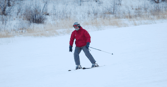 IMG_5756.GIF