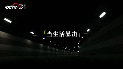 IMG_7016.GIF