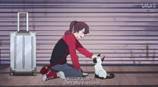 IMG_9016.GIF