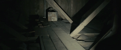 IMG_9660.GIF