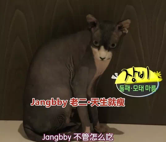 IMG_1330.PNG