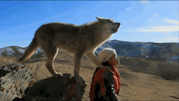 IMG_2104.GIF