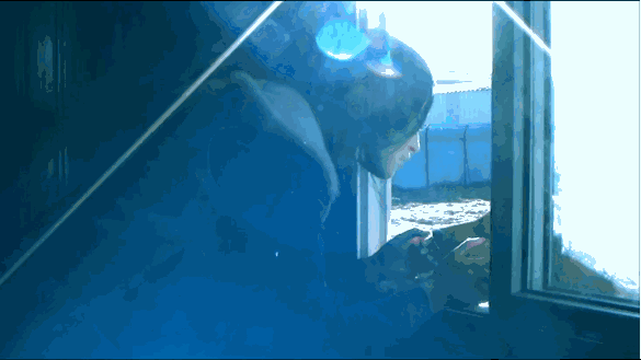 IMG_2121.GIF