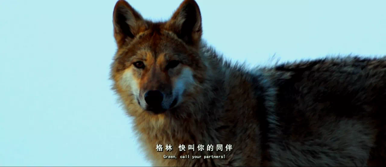 IMG_2125.PNG