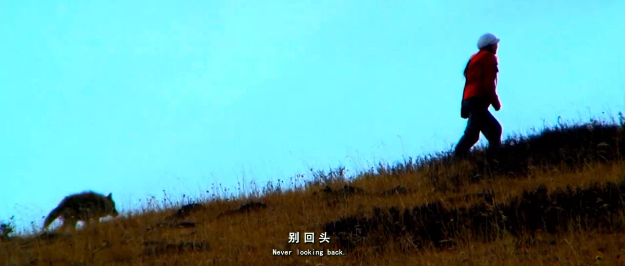 IMG_2133.PNG
