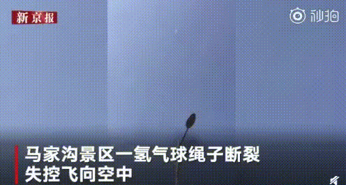 IMG_4450.GIF