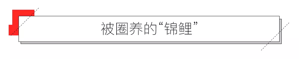 IMG_7088.PNG