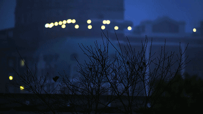 IMG_6675.GIF