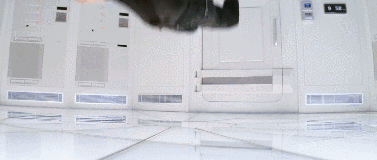 IMG_9970.GIF