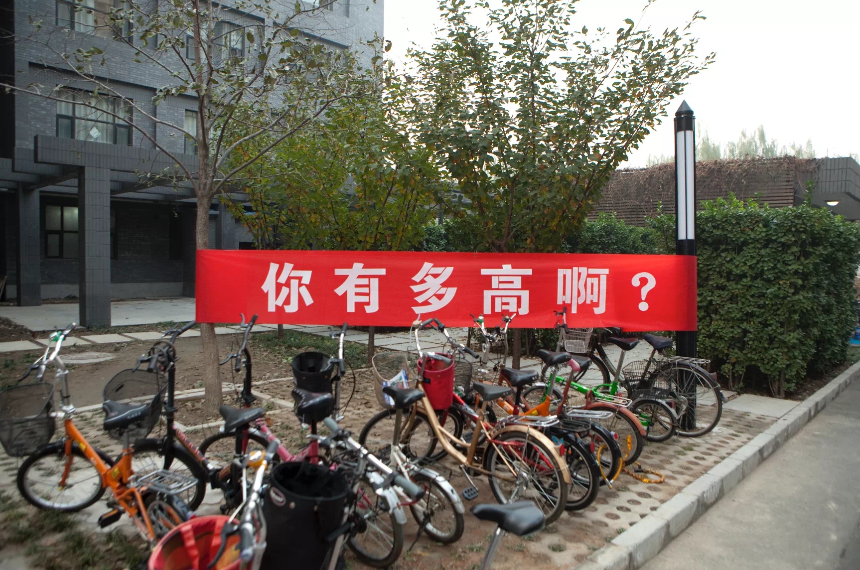 IMG_0070-compressed.jpg