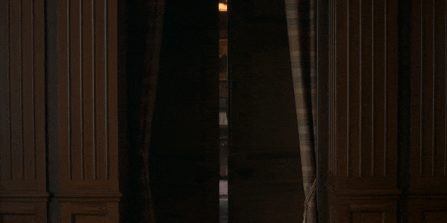 IMG_1511.GIF