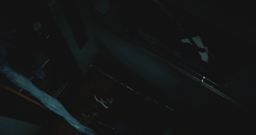 IMG_1778.GIF