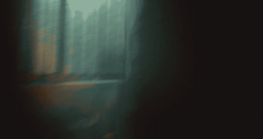 IMG_1779.GIF