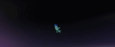 IMG_2605.GIF