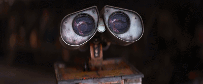 IMG_2654.GIF