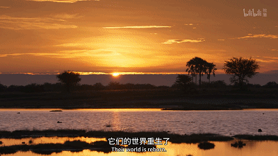 IMG_4685.GIF