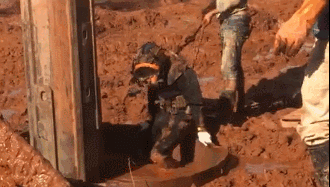 IMG_4805.GIF