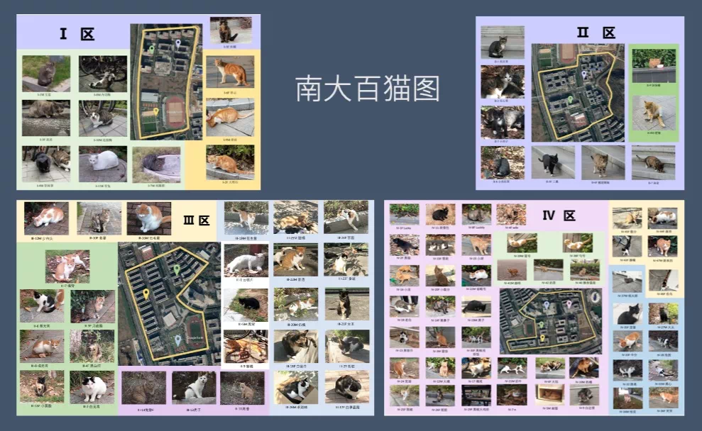 IMG_5229.PNG