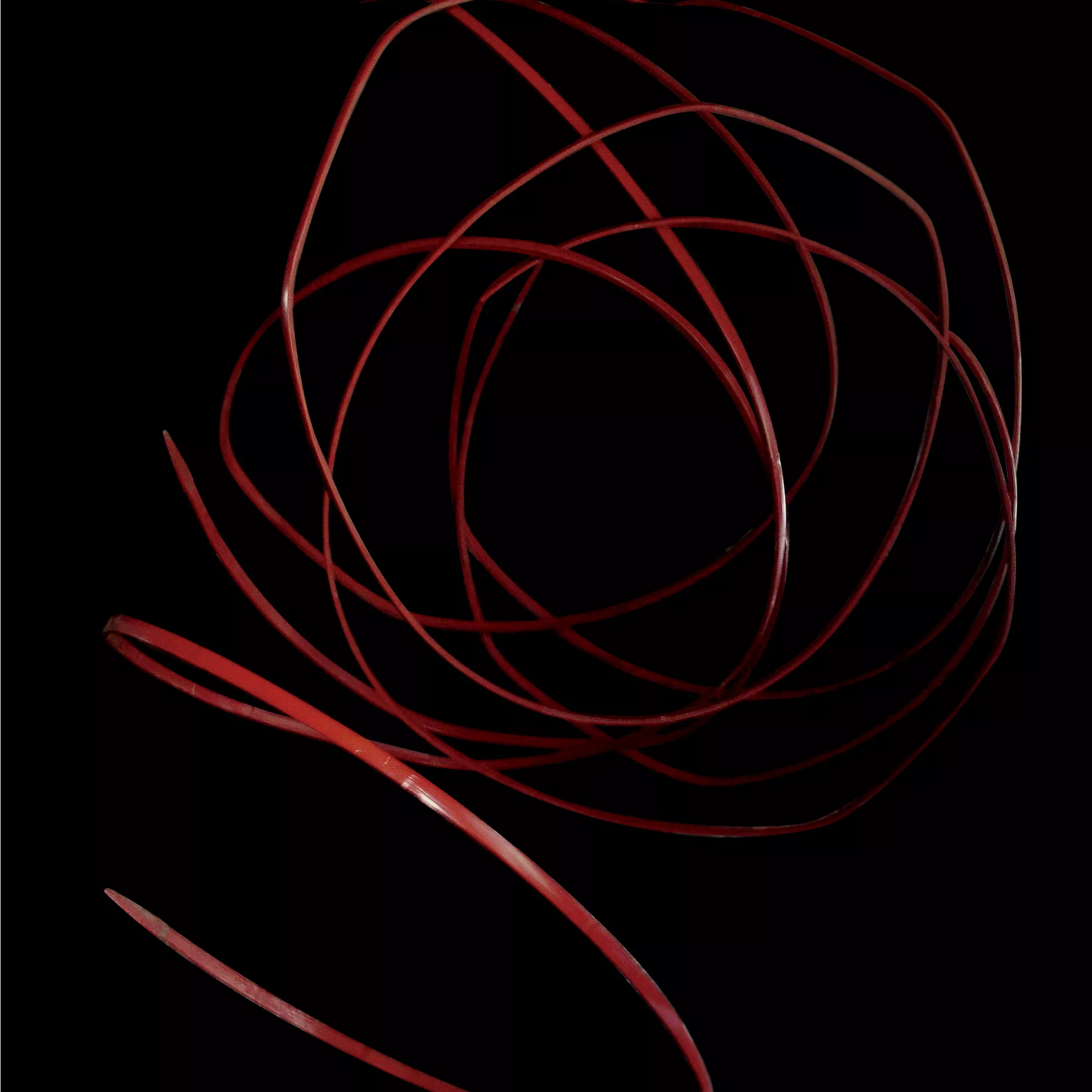 IMG_5258.PNG