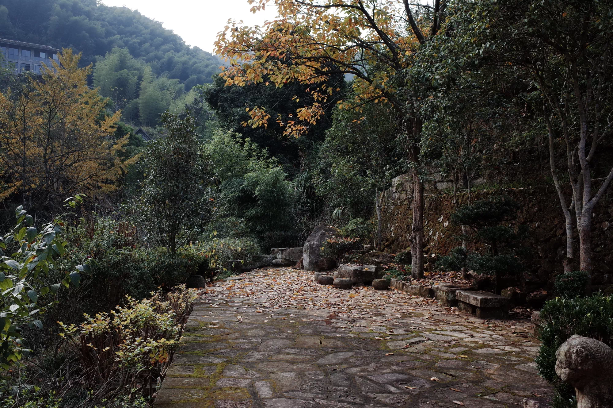 IMG_5264.PNG