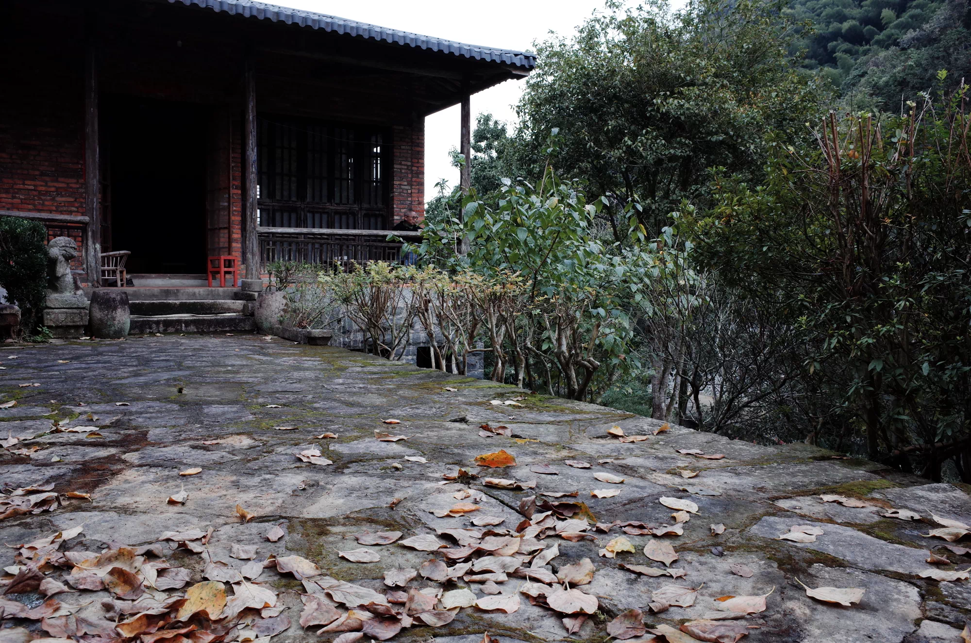 IMG_5265.PNG
