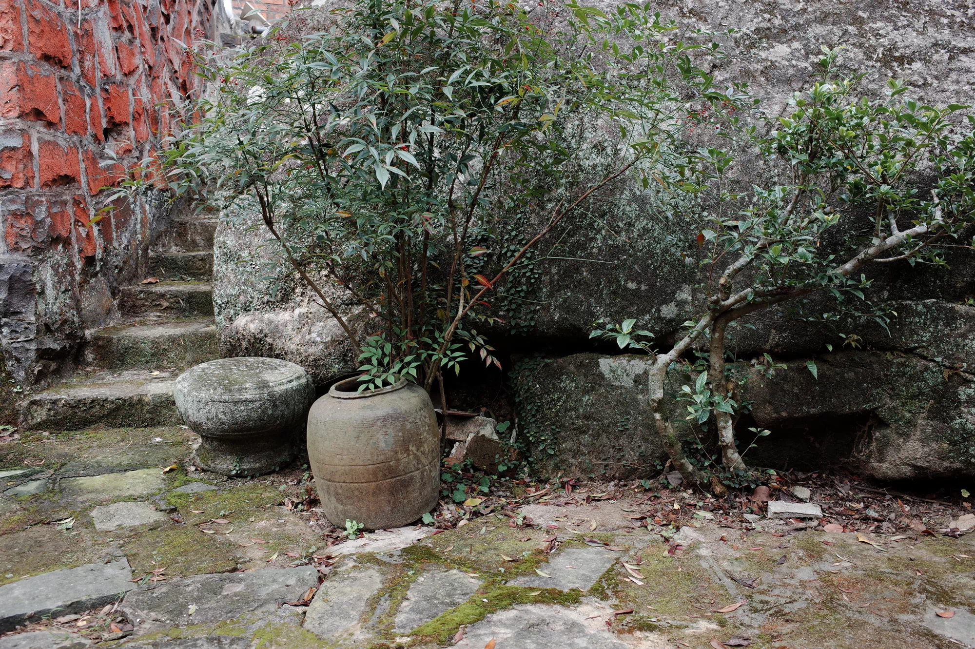 IMG_5285.PNG