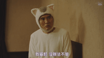 IMG_5349.GIF