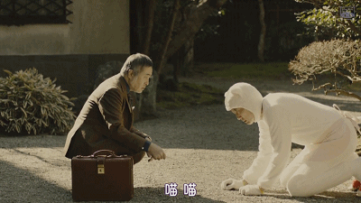 IMG_5350.GIF