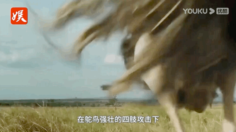5E96E7FF-BB17-4EDA-99CF-BE4D8A5379B6.gif