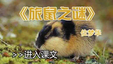 97D8CE32-FBC2-448C-A4D8-7FB343651286.jpeg
