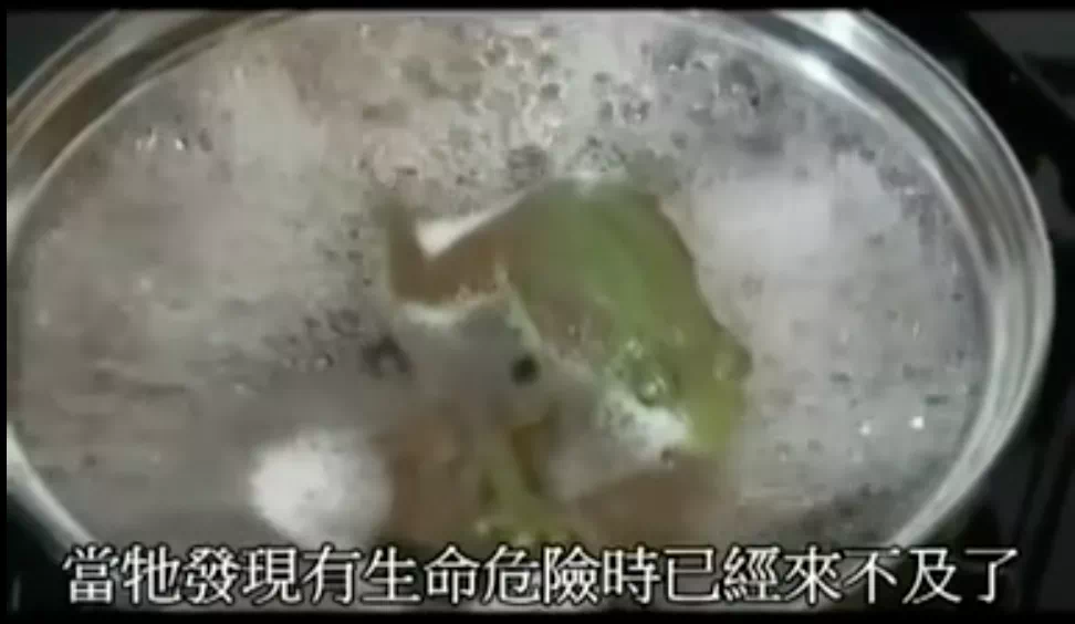 6E9765EB-DC90-4A96-803F-BF154199EF1D.png