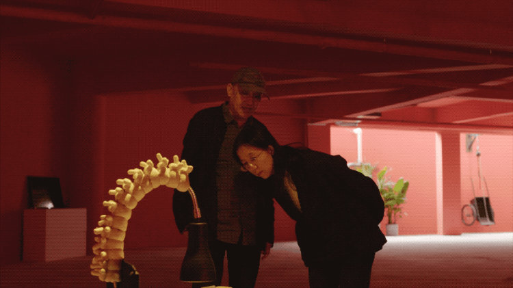 IMG_6108.GIF