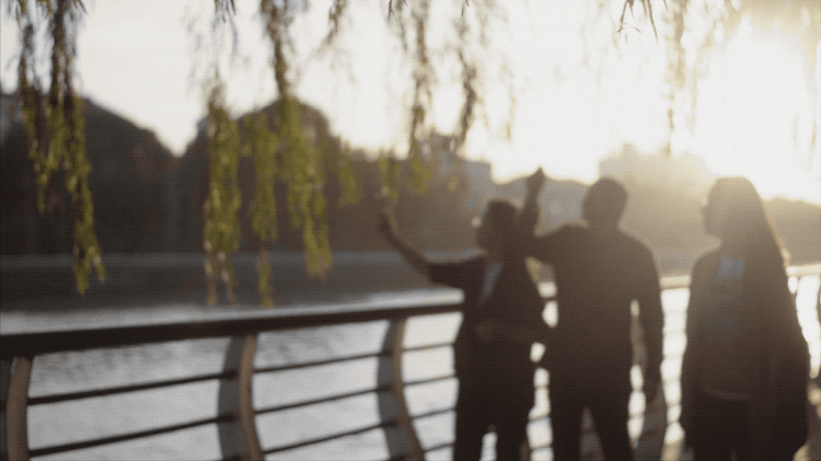 IMG_6115.GIF