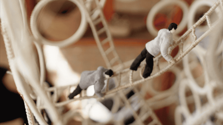 IMG_6123.GIF