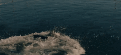 IMG_6340.GIF