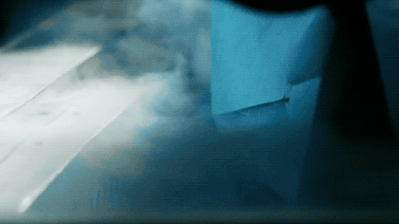 IMG_8137.GIF