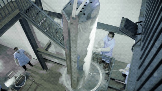 IMG_8141.GIF