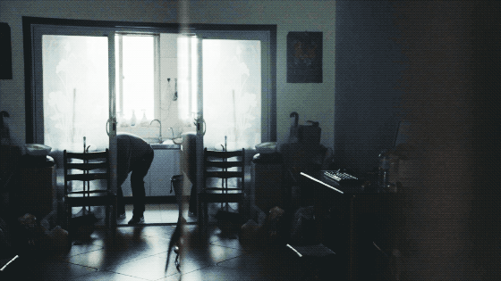 IMG_8168.GIF