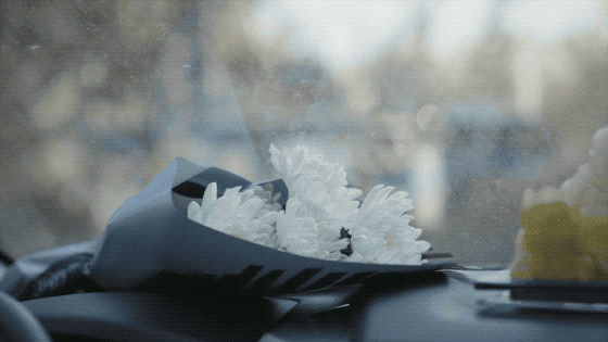 IMG_8171.GIF