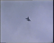 IMG_9475.GIF
