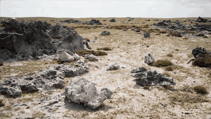 IMG_0580.GIF