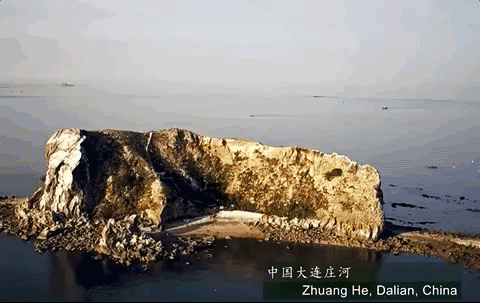IMG_0109.GIF