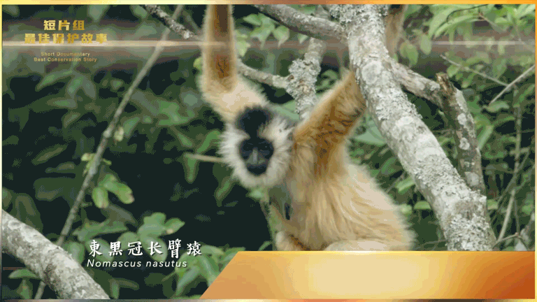 IMG_0111.GIF
