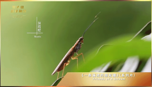 IMG_0113.GIF