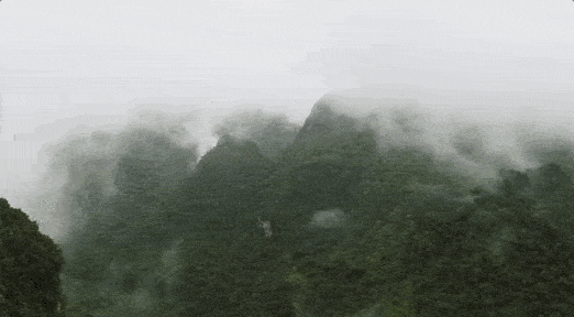 8.gif